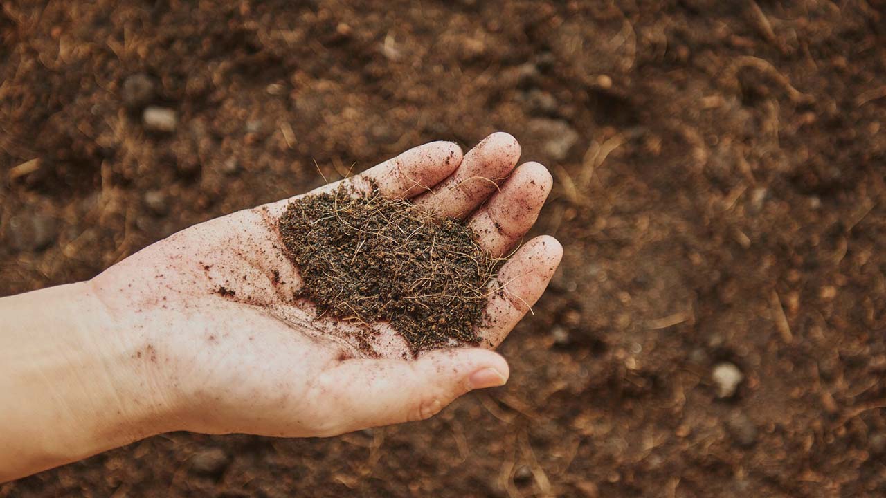 Toprak Sağlığını Korumak: Geleceğe Yatırım