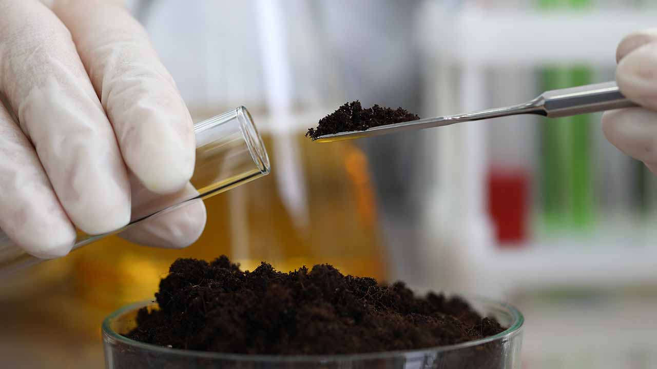 Toprak Analizi ve Verimlilik