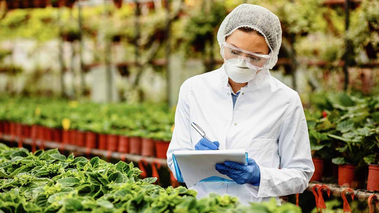 Ziraat Mühendisi Danışmanlığı